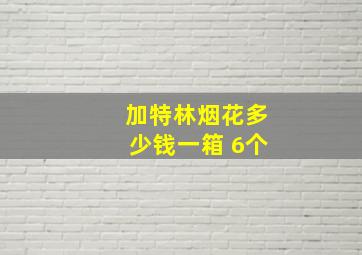 加特林烟花多少钱一箱 6个